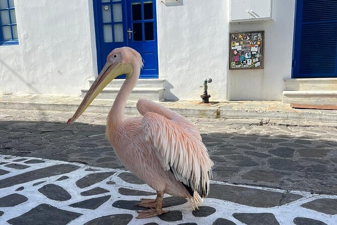 Mykonos Semi Private Bus Tour in English Spanish - Meeting and Pickup Details