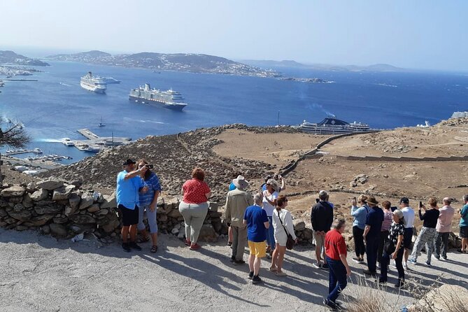 Mykonos Shore Excursion With Pickup From Cruise Ship Terminal - Positive and Negative Feedback