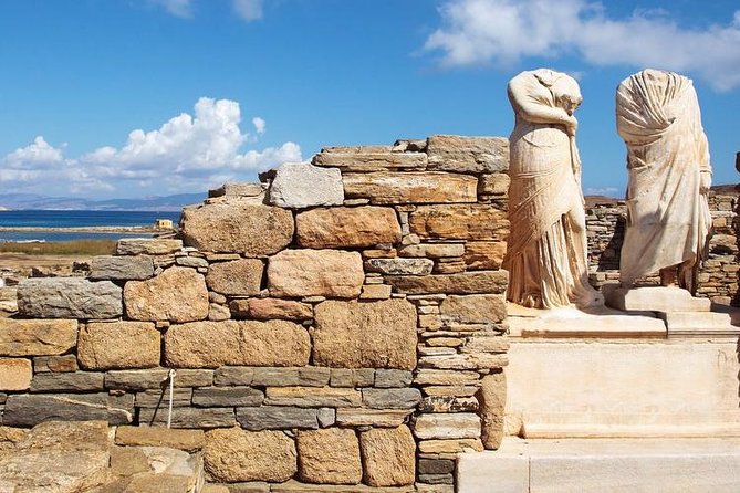 Mykonos to Delos Tour With Terrace of Lions, House of Dionysus - Pricing and Booking
