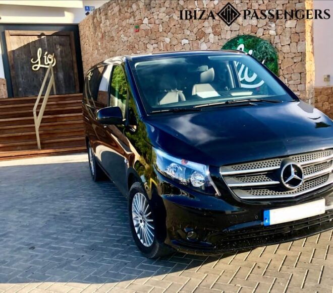 Mykonos Tour - Experience Highlights