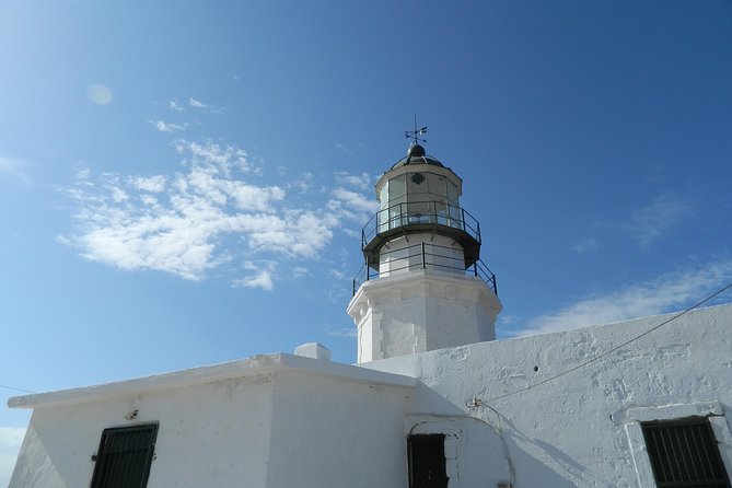 Mykonos Wild Experience Tour - Reviews and Overall Experience