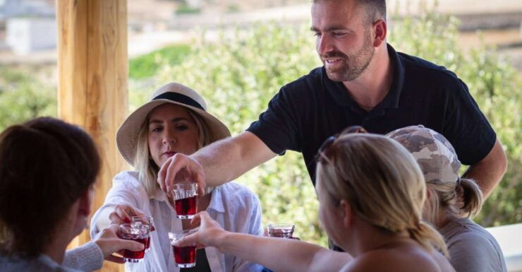 Mykonos: Winery Vineyard Experience With Food & Wine Tasting - Activity Details