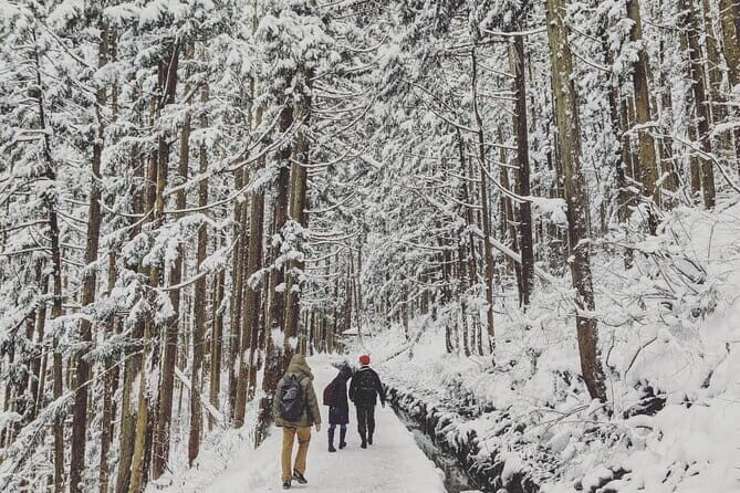 Myoko and Madarao Day Tour Snow Monkeys, Zenkoji and Sake - FAQ