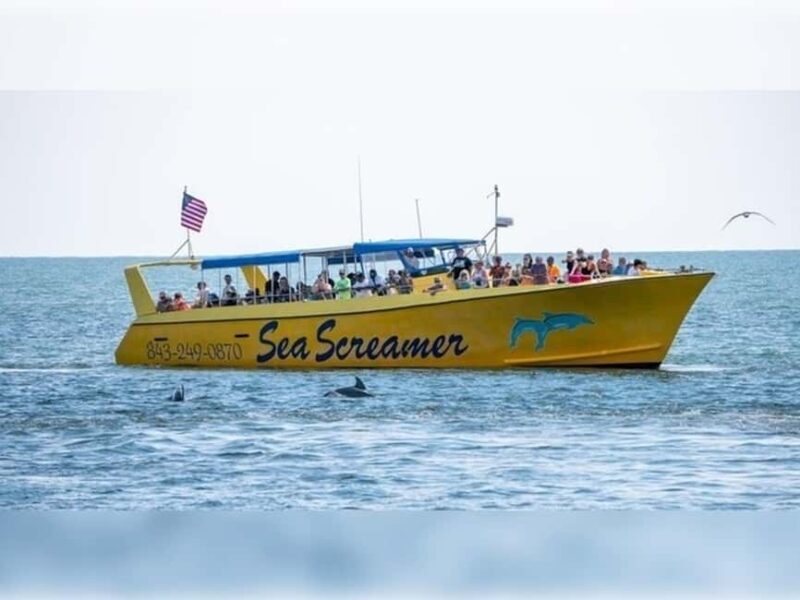 Myrtle Beach: Dolphin Cruise on the Sea Screamer - The Sum Up: Is It Worth It?