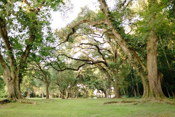 Myrtles Plantation Daytime Historical Tour - Final Words