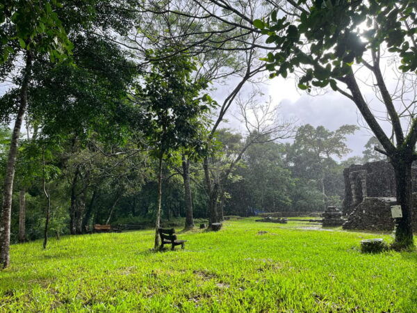 Myson Holyland - Rice Paper Making Deluxe Tour From Danang - Important Information for Guests