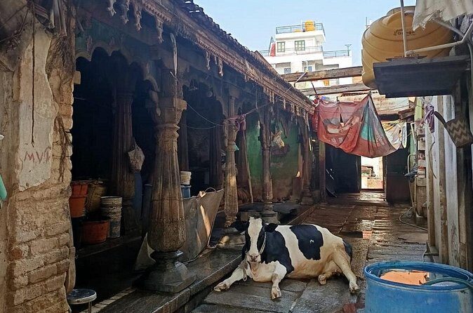 Mysore By Cycle Cultural and Heritage Bike Tour - Frequently Asked Questions