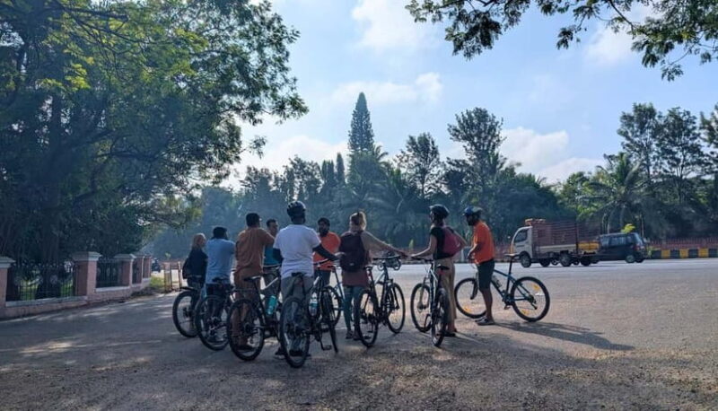 Mysore City Bike Tour Morning 3.5 Hours: Mysore By Cycle - Good To Know