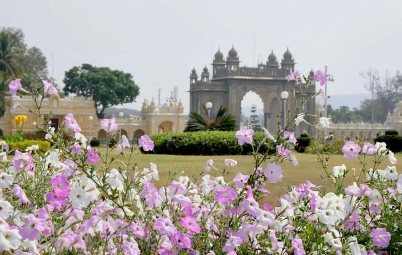 Mysore: Full-Day Guided Excursion with Hotel Pickup - Who This Tour Is Best For