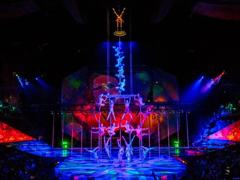 Mystere by Cirque du Soleil Show Ticket in Las Vegas - Should you book Mystère?