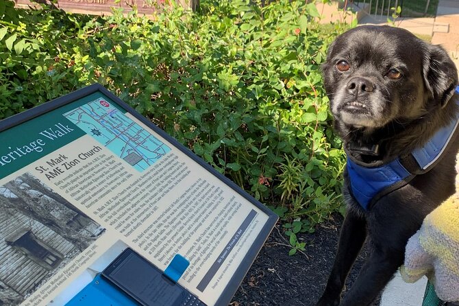 Mysteries on the Move: Scavenger Hunt in San Diego - Meeting Point and Logistics