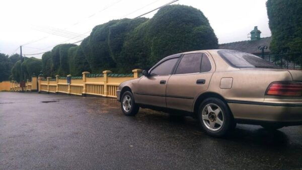 Mysterious Sri Lanka: City of Light - Nuwara Eliya - Language and Pickup Details