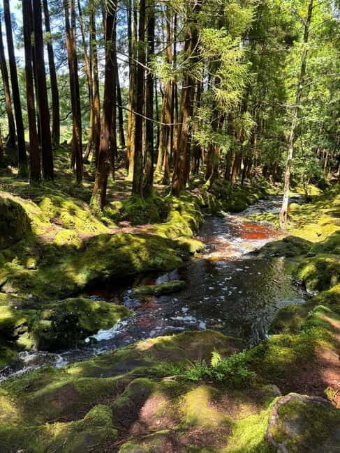 Mystery Tour of Terceira Island - Good To Know