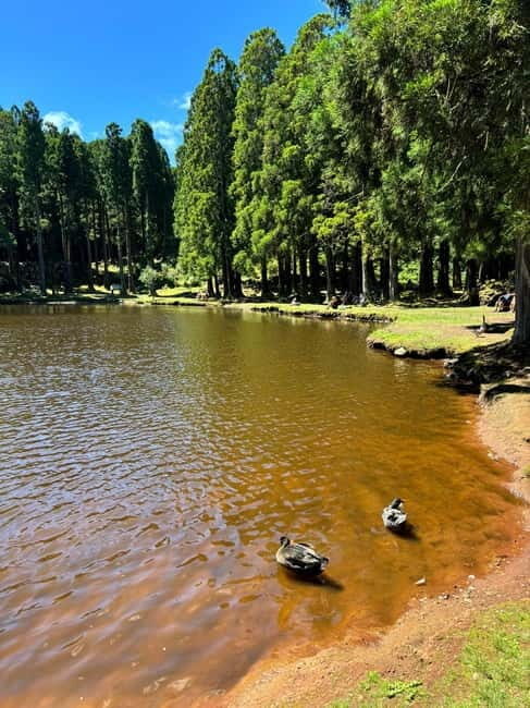 Mystery Tour of Terceira Island - Transport and Group Size
