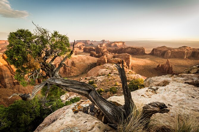 Mystery Valley Guided Tour  - Monument Valley - Tour Overview and Highlights