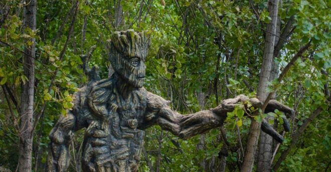 Mystic Cusco: Valley of the Goblins, Abode | Full Day - Preparation and Communication