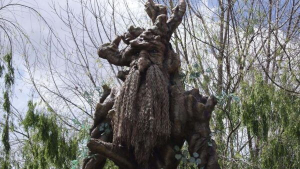 Mystic Cusco: Valley of the Goblins, Abode | Full Day - Additional Notes
