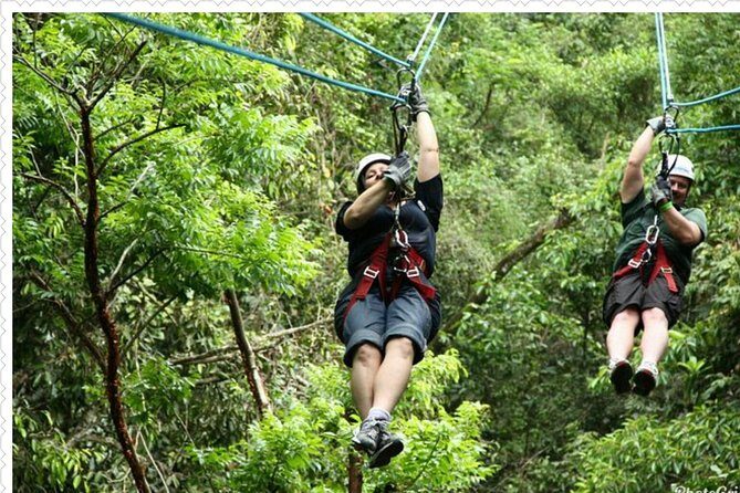 Mystic Mountain Tour from Montego Bay - What You Can Expect from the Mystic Mountain Tour