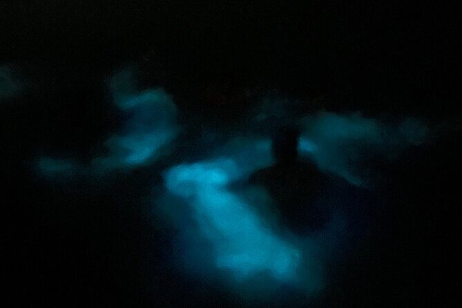 Mystic Waters A Bioluminescent Night Tour - Mystic Waters: A Bioluminescent Night Tour in Puerto Rico 