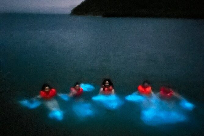 Mystic Waters A Bioluminescent Night Tour - Good To Know  