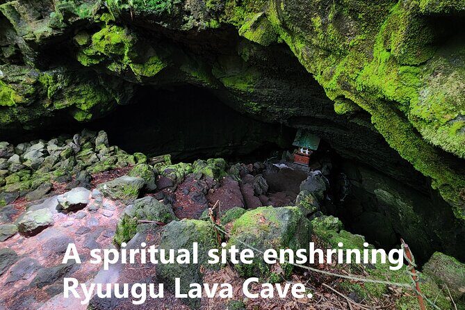 Mystical Fuji Forest Guide Running Trip (Shoe Rental Included) - Discovering the Mystical Beauty of Aokigahara