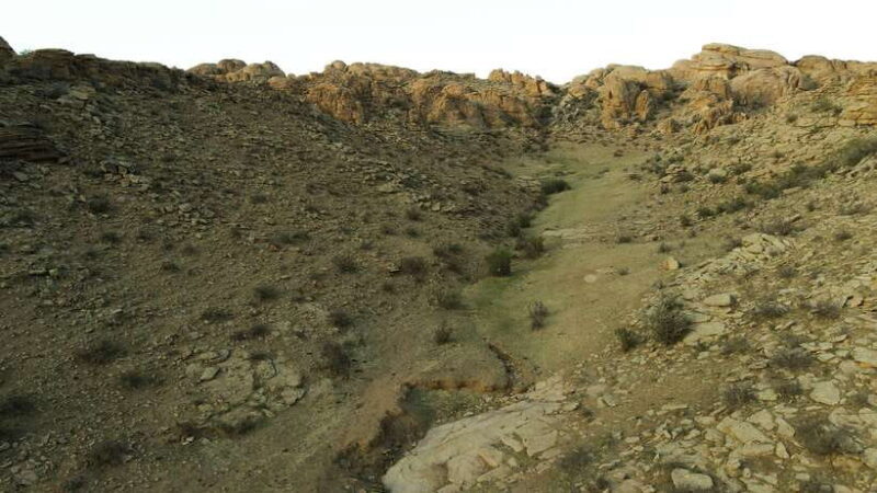 Mystical Gobi Journey: Highlights Tour with Gobi Adventure - The Experience: What Travelers Are Saying