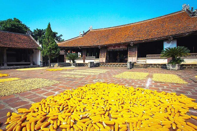 Mystical Hanoi: Thay Pagoda & Duong Lam Village Private Tour - Is This Tour Worth It?