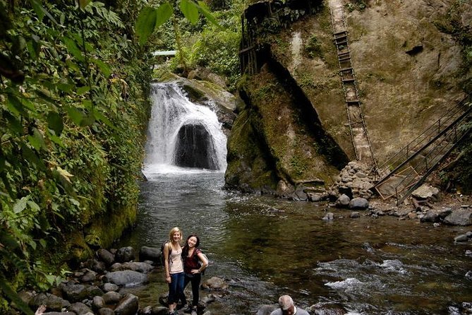 Mystical Mindo Marvels: a Daylong Dive Into Natures Dreamland! - Overview of Mindo Experience