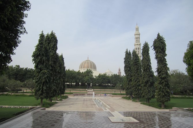Mystical Muscat - How to Secure Your Spot