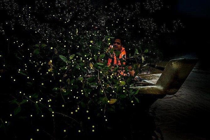 Mystical Nights: Fireflies & Blue Tears Adventure - Authentic Experiences from Reviews