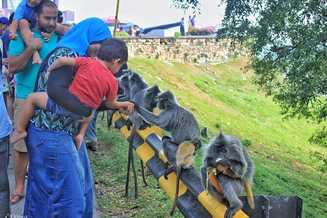 Mystical Nights: Fireflies & Blue Tears Adventure - Who Should Consider This Tour?