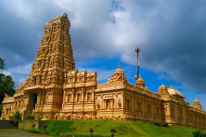 Mystical Nights: Fireflies & Blue Tears Adventure - An In-Depth Look at the Mystical Nights Tour