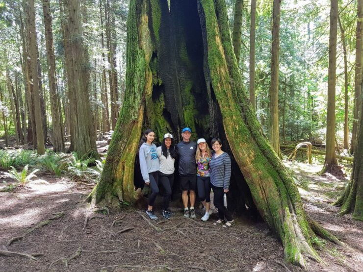 Mystical Rainforest Tour - Forest Magick - Tour Overview