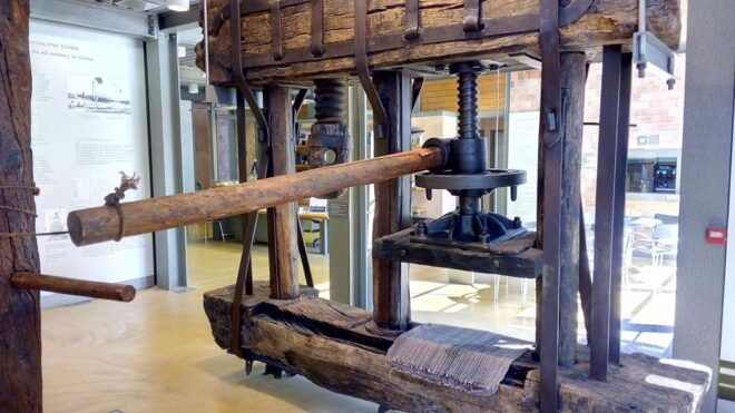 Mystras Castle Town, Sparta, Olive Museum Private Day Tour - Visit the Museum of the Olive and Greek Olive Oil