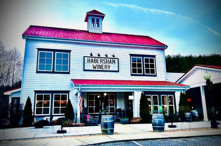 N. Georgia Private Wineries Tour, Dine and Shop From Atlanta - Itinerary