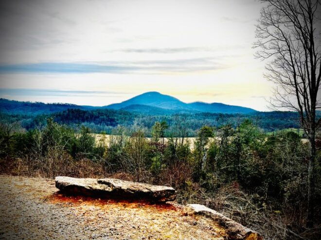 N. Georgia Private Wineries Tour, Dine and Shop From Atlanta - Highlights