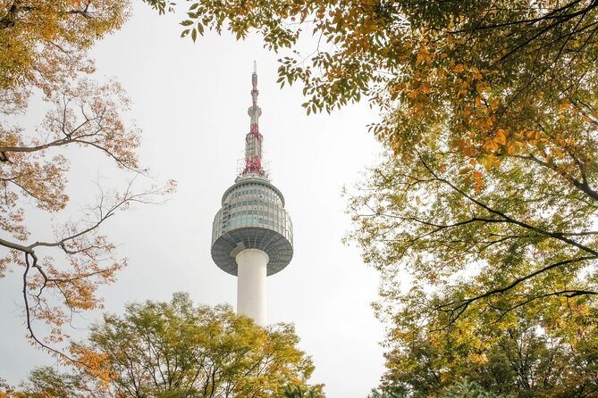 N Seoul Tower Observatory Ticket - Common Questions
