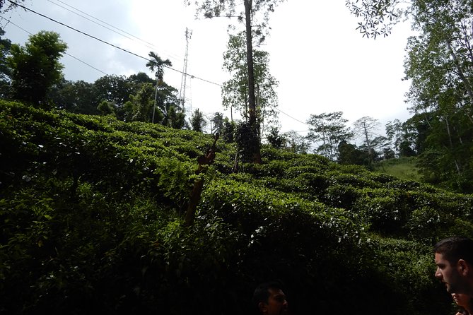 N Trekkers From Matale - Meeting Point Details