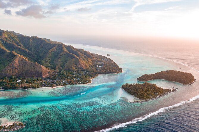 N°1 Moorea Transfers Shuttle Airport Ferry terminal - Seamless Arrival in Moorea: N°1 Moorea Transfers Shuttle Airport Ferry Terminal Review