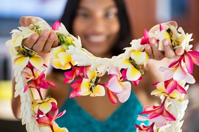 N°1 Moorea Transfers Shuttle Airport Ferry terminal - Good To Know