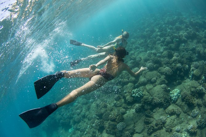 Na Pali Coast Kauai Snorkel and Sail - Captain, Crew, and Booking Information