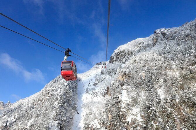 Nabana no Sato, Gozaisho Frozen Tree and Outlet Tour from Osaka - Introduction
