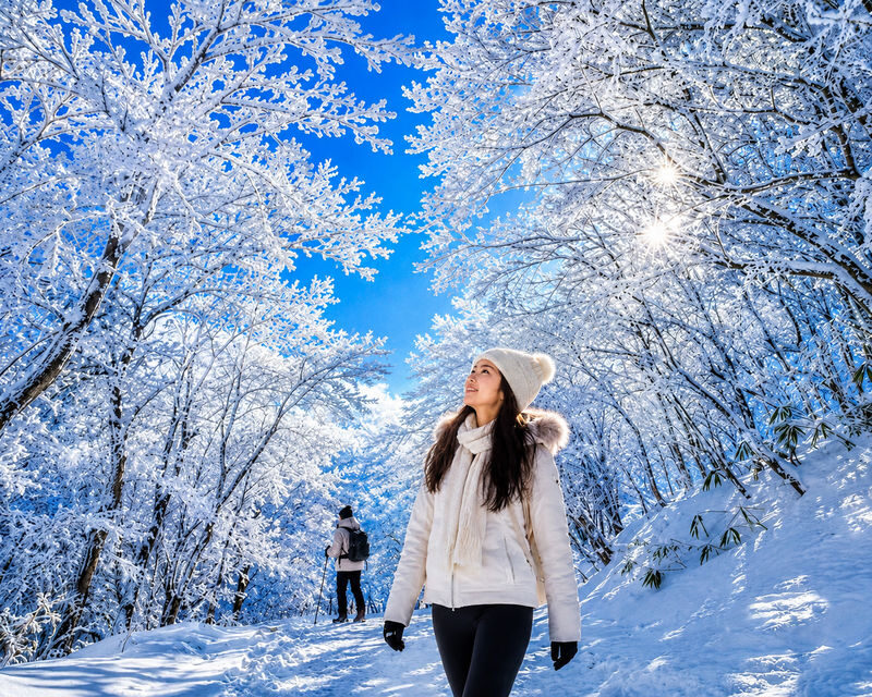Nabana no Sato & Gozaisho Ropeway Full-Day Winter Group Tour - Key points before you book