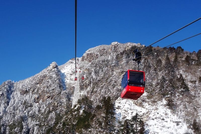 Nabana no Sato & Gozaisho Ropeway Full-Day Winter Group Tour - Two winter stops with different moods