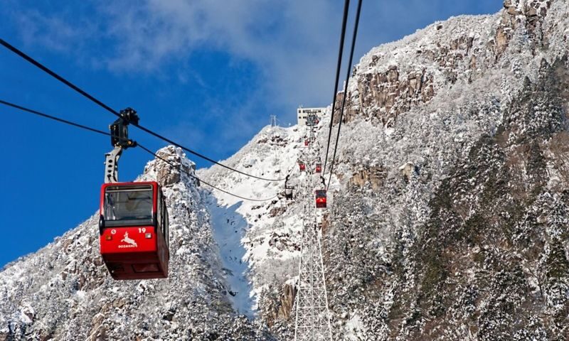 Nabana no Sato & Gozaishodake Ropeway Day Tour from Osaka - The details that matter before you book