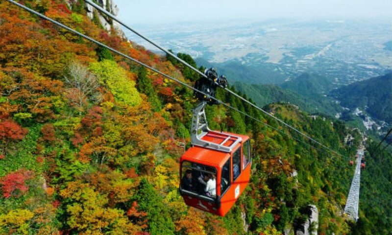 Nabana no Sato & Gozaishodake Ropeway Day Tour from Osaka - Should you book it?