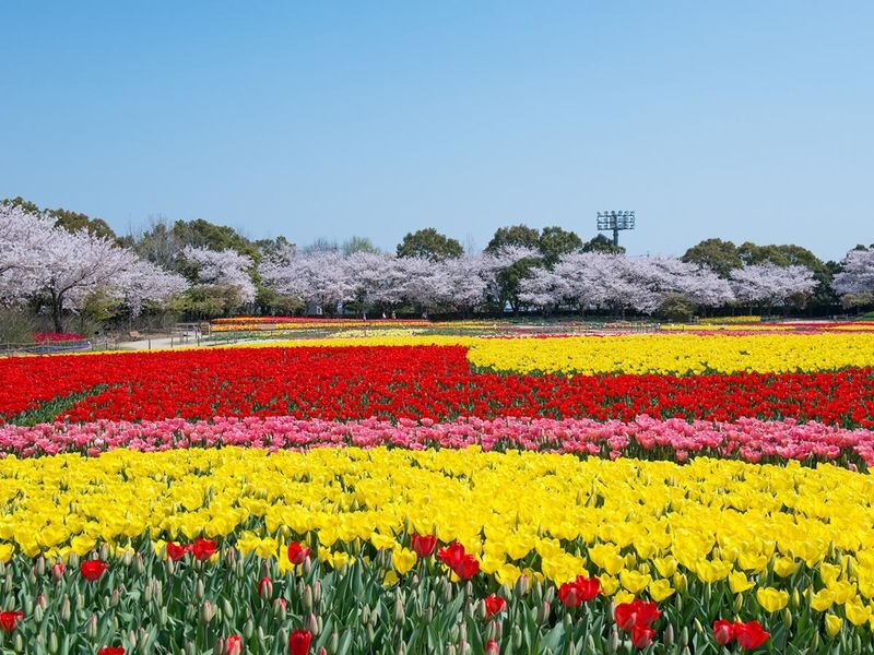 Nabana no Sato Light Show & Jazz Dream Nagashima Full-Day Tour with Onsen - The onsen: a welcome change of pace