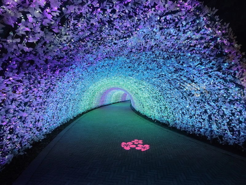 Nabana no Sato Light Show & Jazz Dream Nagashima Full-Day Tour with Onsen - Who should choose this tour?
