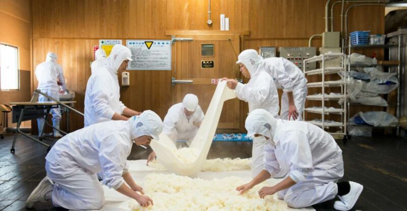 Nada Sake Breweries Kobe Private Tour with Licensed Guide - Final Thoughts