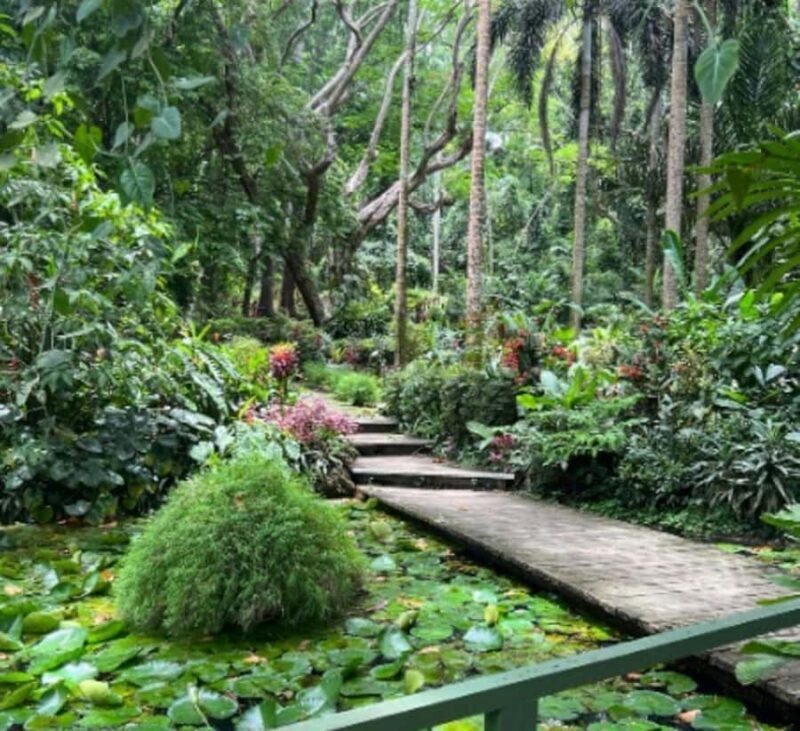 Nadi: Culture, Temples, Markets & Garden Adventure - The Sum Up